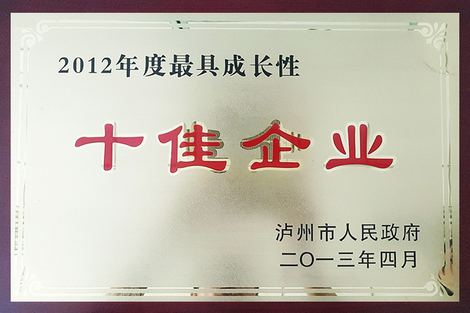 2012年度最具成長性十佳企業(yè)